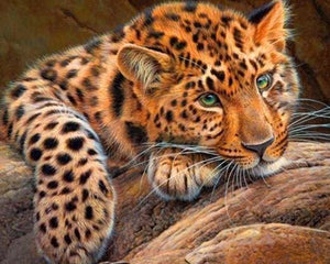 Broderie Diamant | Broderie Diamant - Panthère | animaux Broderie Animaux panthère | FiguredArt