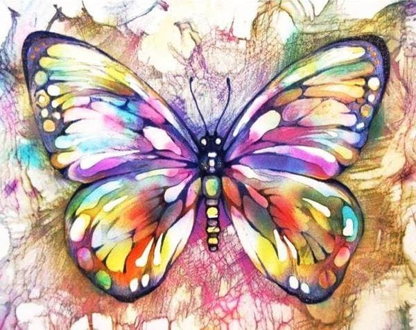 Broderie Diamant | Broderie Diamant - Papillon Et Couleurs | animaux Broderie Animaux papillons | FiguredArt