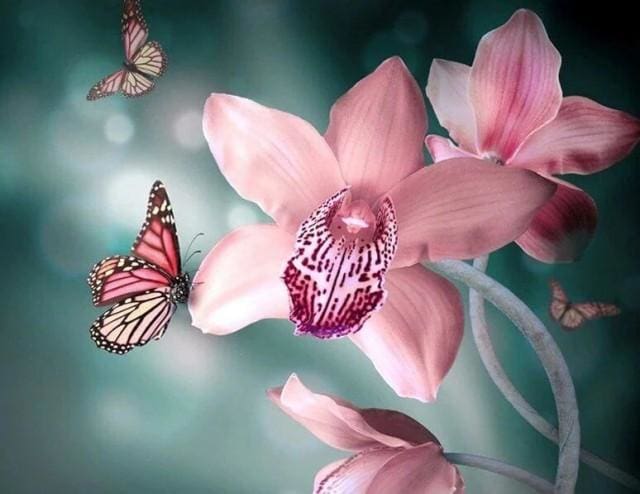 Broderie Diamant | Broderie Diamant - Papillon et Orchidée | animaux Broderie Animaux Broderie Fleurs fleurs papillons | FiguredArt