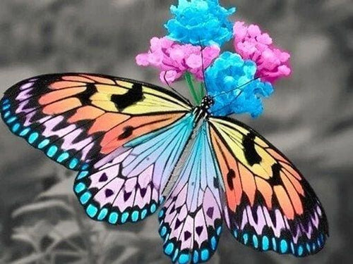 Broderie Diamant | Broderie Diamant - Papillon qui butine | animaux Broderie Animaux papillons | FiguredArt