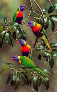 Broderie Diamant | Broderie Diamant - Perroquets sur Branche | animaux Broderie Animaux oiseaux perroquets | FiguredArt