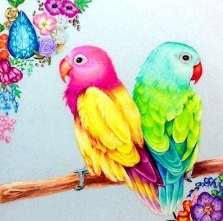 Broderie Diamant | Broderie Diamant - Perruches de Dos | animaux Broderie Animaux | FiguredArt
