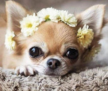 Charger l&#39;image dans la galerie, Broderie Diamant | Broderie Diamant - Petit Chien et Couronne de Fleurs | animaux Broderie Animaux chiens fleurs | FiguredArt