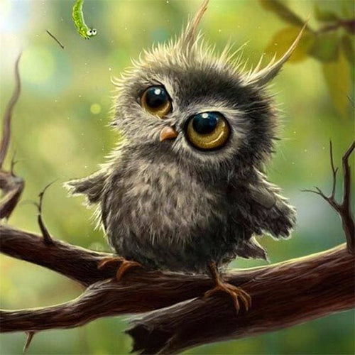 Broderie Diamant | Broderie Diamant - Petite Chouette | animaux Broderie Animaux chouettes et hiboux | FiguredArt