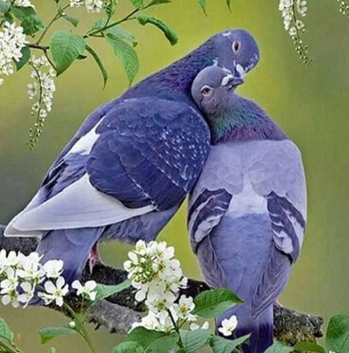 Broderie Diamant | Broderie Diamant - Pigeons amoureux | animaux Broderie Animaux | FiguredArt