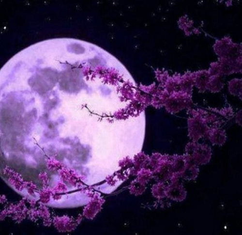 Broderie Diamant | Broderie Diamant - Pleine Lune et Fleurs | Broderie Paysages fleurs paysages | FiguredArt