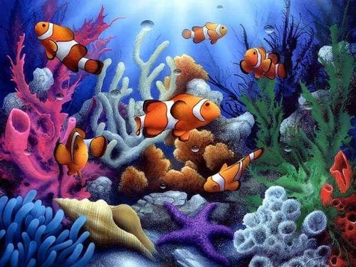 Broderie Diamant | Broderie Diamant - Poissons Clown | animaux Broderie Animaux poissons | FiguredArt