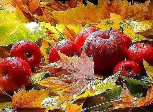 Broderie Diamant | Broderie Diamant - Pommes en Automne | Broderie Paysages paysages | FiguredArt