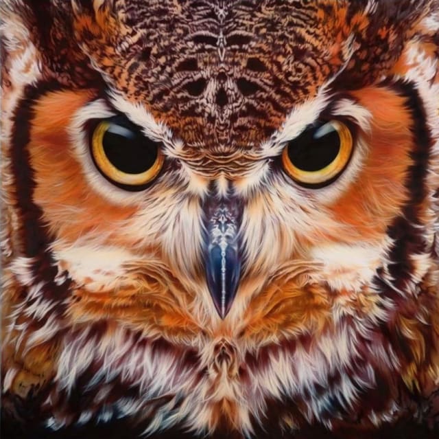 Broderie Diamant | Broderie Diamant - Portrait de Hiboux | animaux Broderie Animaux chouettes et hiboux | FiguredArt