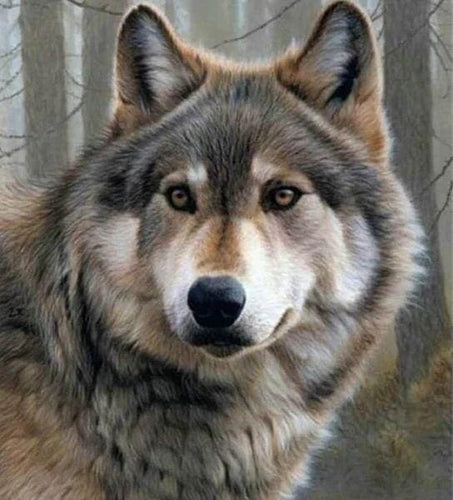 Broderie Diamant | Broderie Diamant - Regard de Louve | animaux Broderie Animaux | FiguredArt