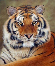 Charger l&#39;image dans la galerie, Broderie Diamant | Broderie Diamant - Regard de Tigre | animaux Broderie Animaux tigres | FiguredArt