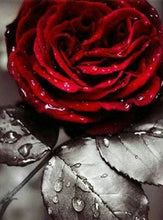 Charger l&#39;image dans la galerie, Broderie Diamant | Broderie Diamant - Rose Rouge | Broderie Fleurs fleurs | FiguredArt