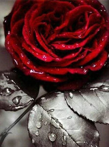 Broderie Diamant | Broderie Diamant - Rose Rouge | Broderie Fleurs fleurs | FiguredArt
