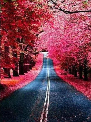 Broderie Diamant | Broderie Diamant - Route en Automne | Broderie Paysages paysages | FiguredArt