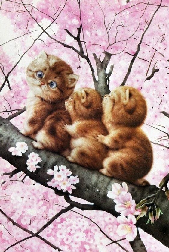 Broderie Diamant | Broderie Diamant - Trois chatons sur une Branche | animaux Broderie Animaux chats | FiguredArt