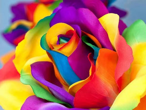 Broderie Diamant | Broderie Diamant - Tulipe Multicolore | Broderie Fleurs fleurs | FiguredArt