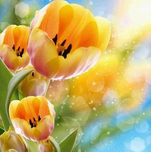 Broderie Diamant | Broderie Diamant - Tulipes jaunes | Broderie Fleurs fleurs | FiguredArt