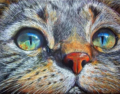 Broderie Diamant | Broderie Diamant - Visage de Chat | animaux Broderie Animaux chats | FiguredArt