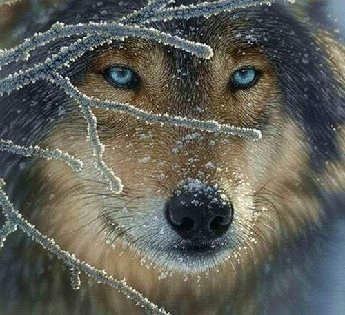 Broderie Diamant | Broderie Diamant - Visage de Loup | animaux Broderie Animaux lapins loups | FiguredArt