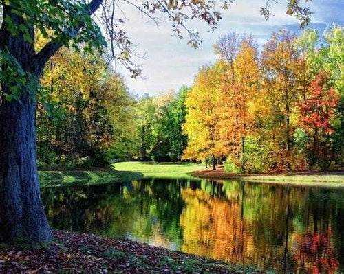 Broderie Diamant | Broderie Diamant - Vue détang | Broderie Paysages paysages | FiguredArt