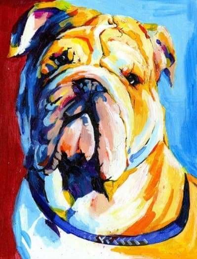 peinture par numéros | Bulldog coloré | animaux chiens complexe Pop Art | FiguredArt
