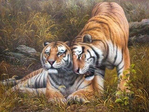 peinture par numéros | Calin de Tigres | animaux complexe tigres | FiguredArt