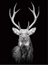 Charger l&#39;image dans la galerie, peinture par numéros | Cerf majestueux | animaux complexe rennes et biches | FiguredArt