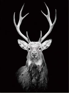 peinture par numéros | Cerf majestueux | animaux complexe rennes et biches | FiguredArt