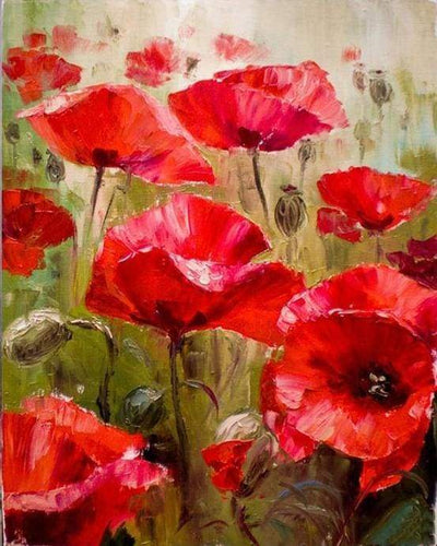 peinture par numéros | Champ de Coquelicots | complexe fleurs | FiguredArt
