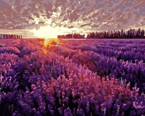peinture par numéros | Champ de Lavande | complexe fleurs paysages | FiguredArt