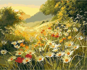 peinture par numéros | Champ de Marguerite sous le Soleil | nouveautés paysages fleurs complexe | FiguredArt