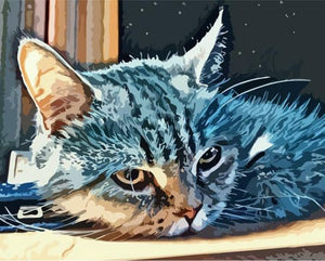 peinture par numéros | Chat american Shorthair | animaux chats facile | FiguredArt
