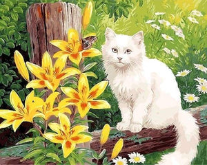 peinture par numéros | Chat blanc et Papillon | animaux chats intermédiaire | FiguredArt