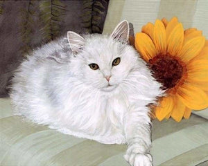 peinture par numéros | Chat blanc et Tournesol | animaux chats intermédiaire | FiguredArt