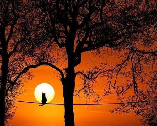 peinture par numéros | Chat et Pleine Lune | animaux chats complexe paysages | FiguredArt