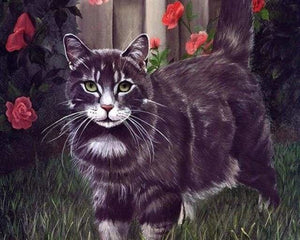 peinture par numéros | Chat noir | animaux chats complexe | FiguredArt