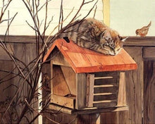 Charger l&#39;image dans la galerie, peinture par numéros | Chat perché | animaux chats intermédiaire | FiguredArt