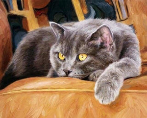 peinture par numéros | Chat sur canapé | animaux chats intermédiaire | FiguredArt