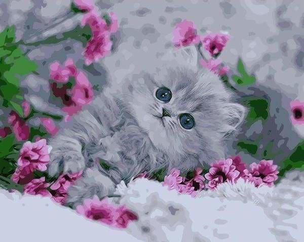 peinture par numéros | Chaton dans les Fleurs | animaux chats fleurs intermédiaire | FiguredArt