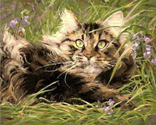 Charger l&#39;image dans la galerie, peinture par numéros | Chaton dans lHerbe | animaux chats facile | FiguredArt