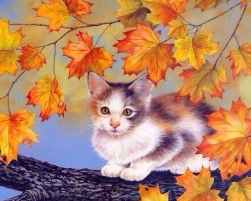 peinture par numéros | Chaton sur une Branche | animaux chats facile | FiguredArt