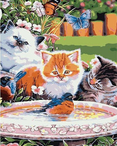 peinture par numéros | Chatons regardant les Oiseaux | animaux chats facile | FiguredArt