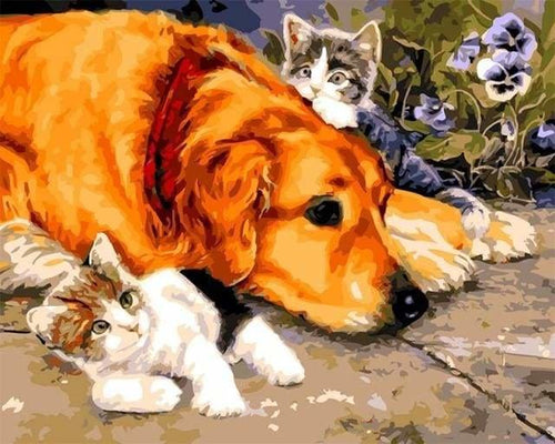 peinture par numéros | Chats et Chien | animaux chats chiens intermédiaire | FiguredArt