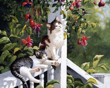 Charger l&#39;image dans la galerie, peinture par numéros | Chats et Colibri | animaux chats complexe oiseaux | FiguredArt