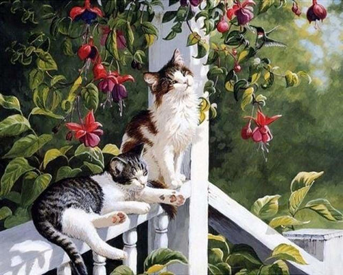 peinture par numéros | Chats et Colibri | animaux chats complexe oiseaux | FiguredArt