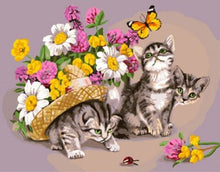 Charger l&#39;image dans la galerie, peinture par numéros | Chats jouant avec un Papillon | animaux chats facile fleurs papillons | FiguredArt