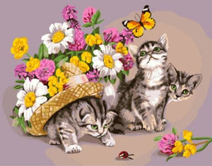 peinture par numéros | Chats jouant avec un Papillon | animaux chats facile fleurs papillons | FiguredArt