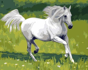 peinture par numéros | Cheval Blanc | animaux chevaux facile | FiguredArt