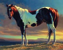 Charger l&#39;image dans la galerie, peinture par numéros | Cheval Blanc et marron | animaux chevaux complexe | FiguredArt