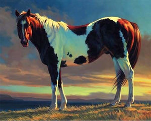 peinture par numéros | Cheval Blanc et marron | animaux chevaux complexe | FiguredArt